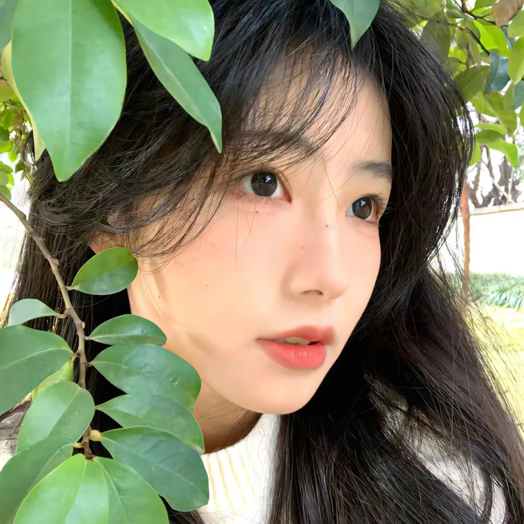 开心哆来咪